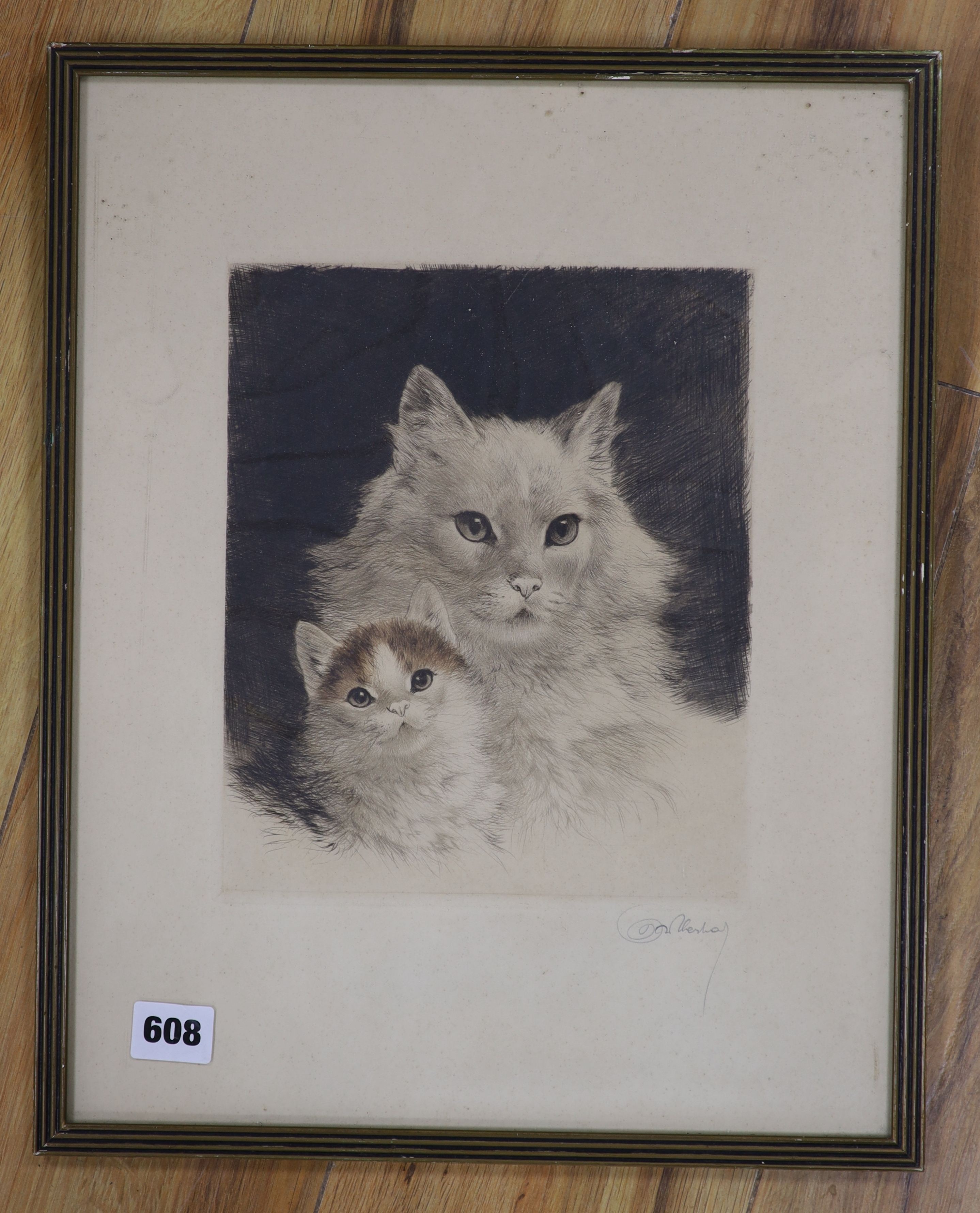 Kurt Meyer-Eberhardt (1895-1977), coloured etching, Cat and kitten, signed in pencil, overall 40 x 31cm
